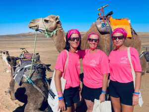 Les 3 gazelles devant un chameau