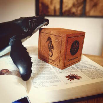 Cube en bois massif de chêne posé sur un dictionnaire a coté d'une baleine