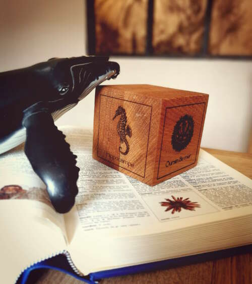 Cube en bois massif de chêne posé sur un dictionnaire a coté d'une baleine