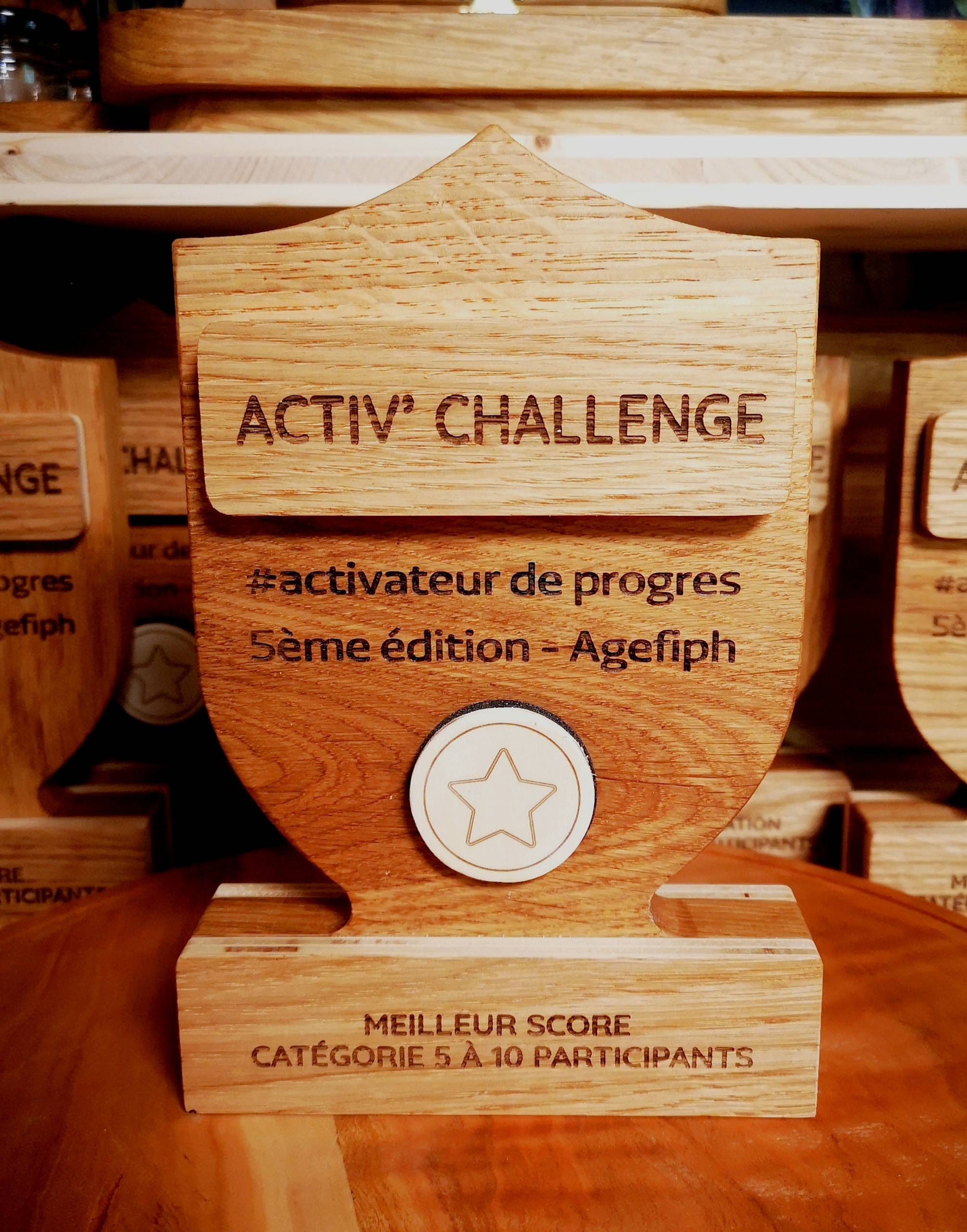 Trophée Activ’ Challenge Agefiph en bois massif fabriqué artisanalement en France – Manufacture Dubosc & Fils.